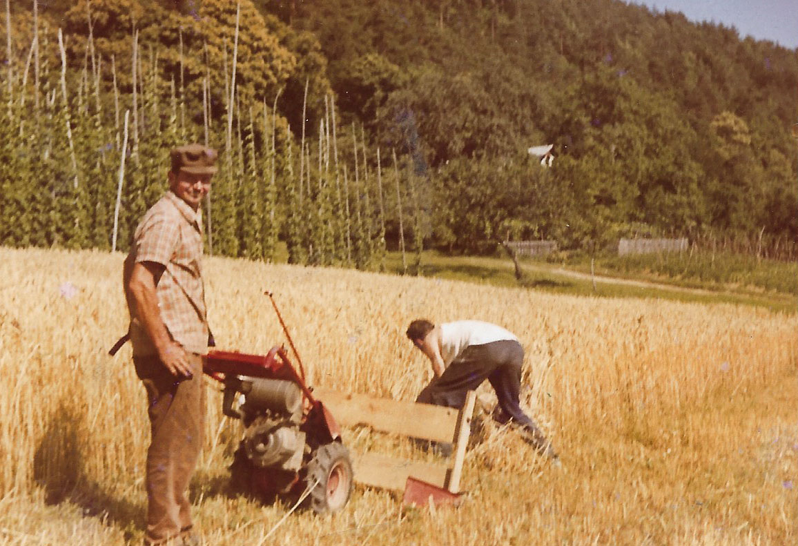 Košnja